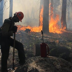 Scientists assess damage from Yosemite-area fire